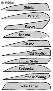 Skizze Pfeilfederformen